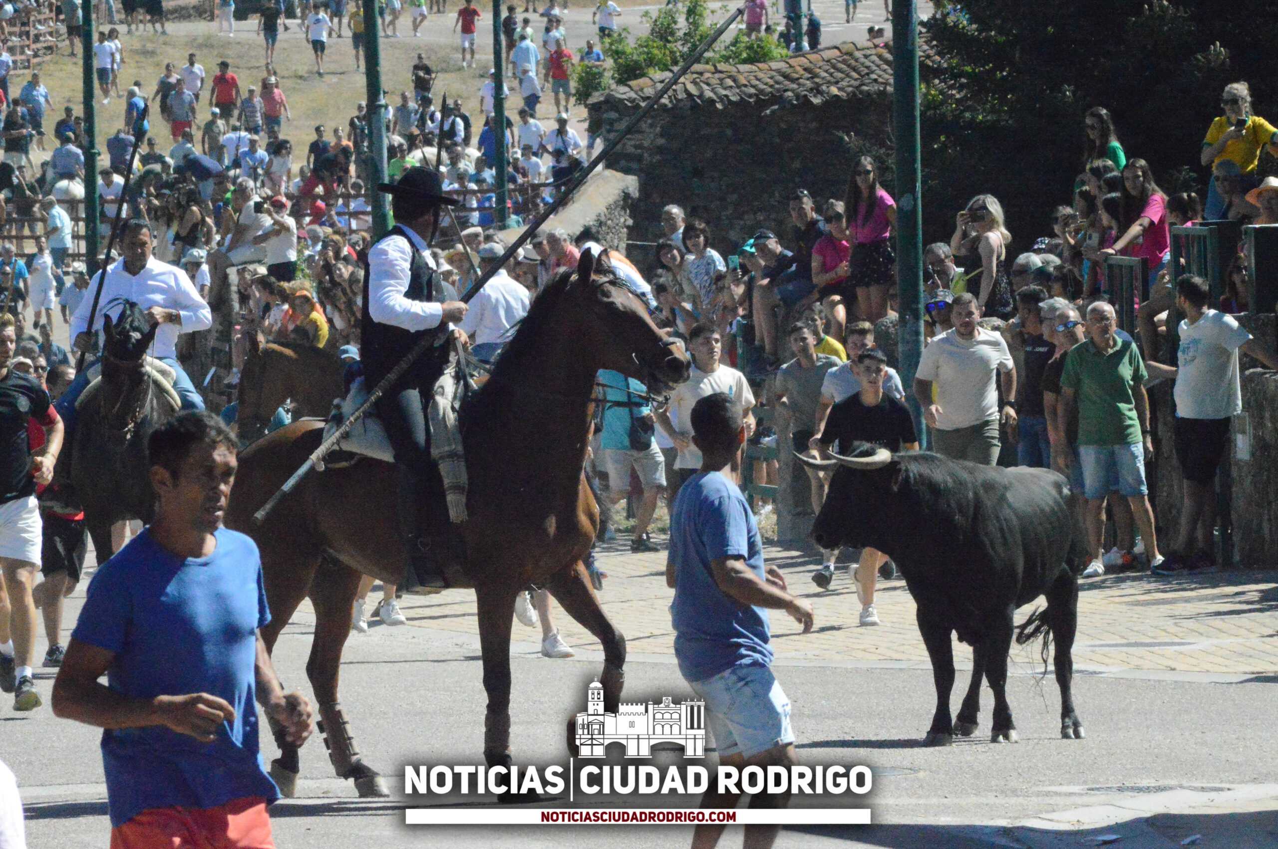 Fuenteguinaldo desvela la programación taurina de cara a sus fiestas este mes de agosto