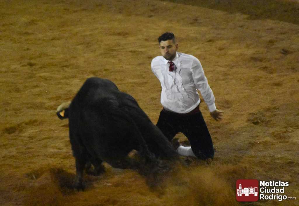 El mirobrigense Pipe Martín será el representante salmantino del Concurso de Recortes de Zamora
