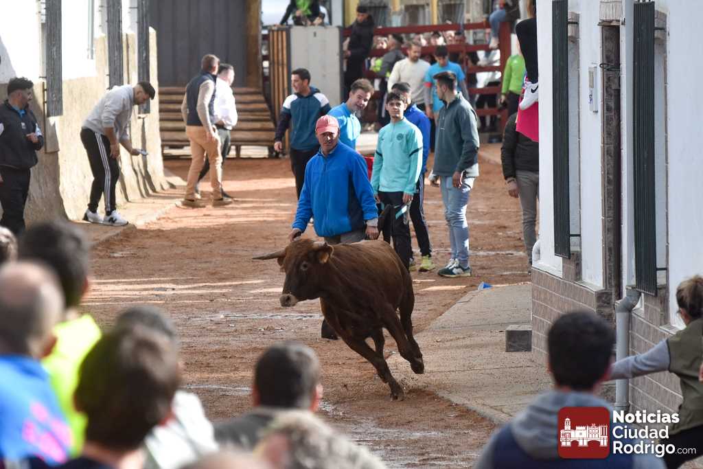 (PROGRAMA COMPLETO) Fiestas de San Miguel Arcángel en Bocacara