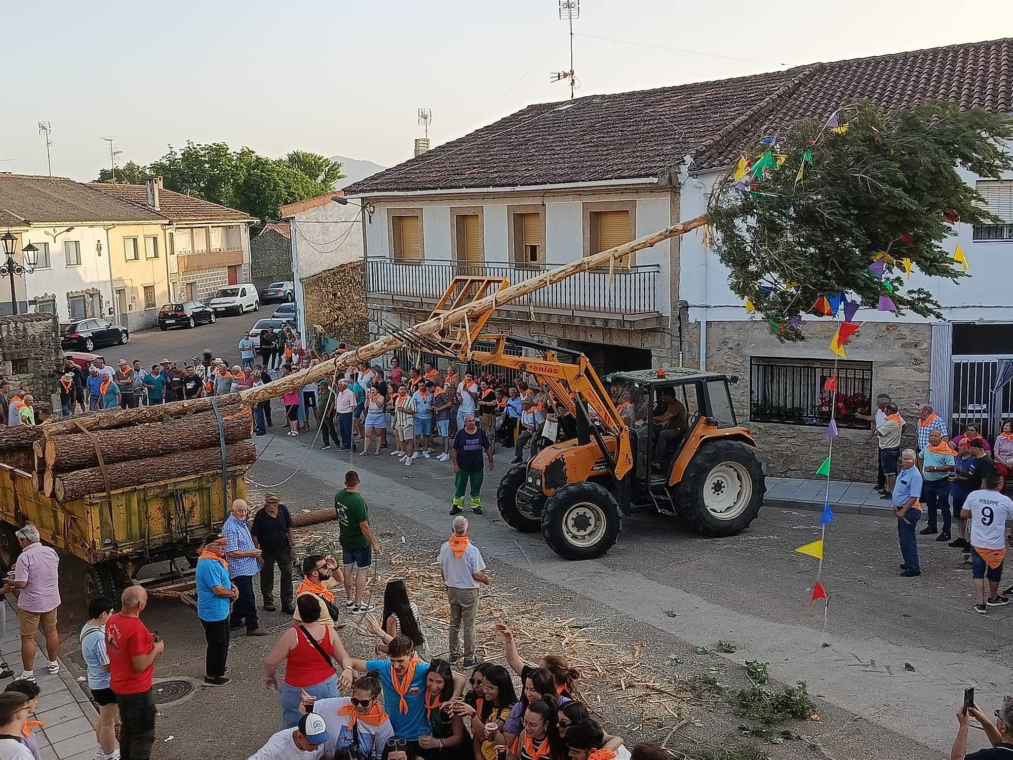 El pino de los Quintos ya luce en Peñaparda