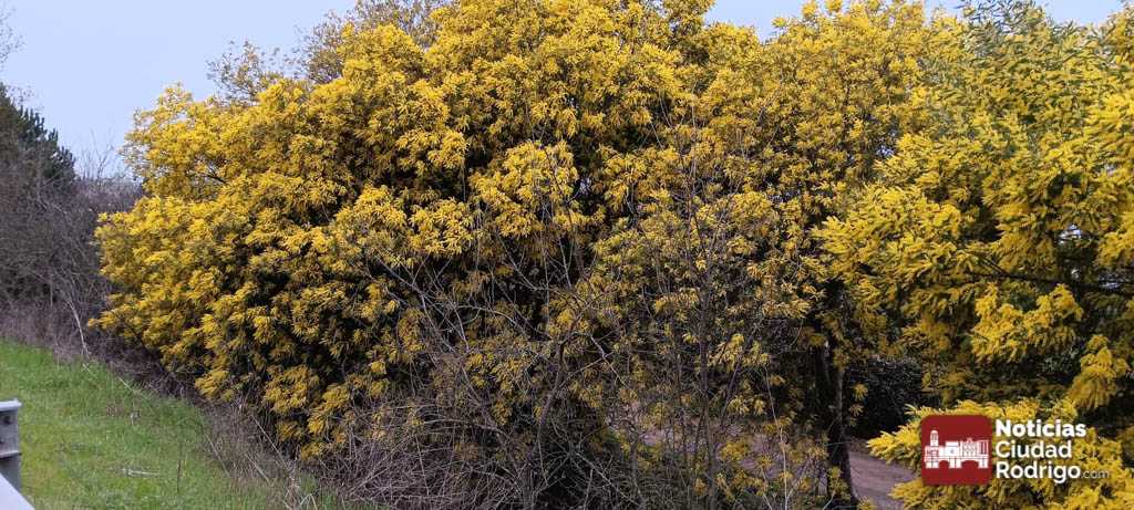 MeteoSalamanca: una semana de tiempo variable en la provincia de Salamanca