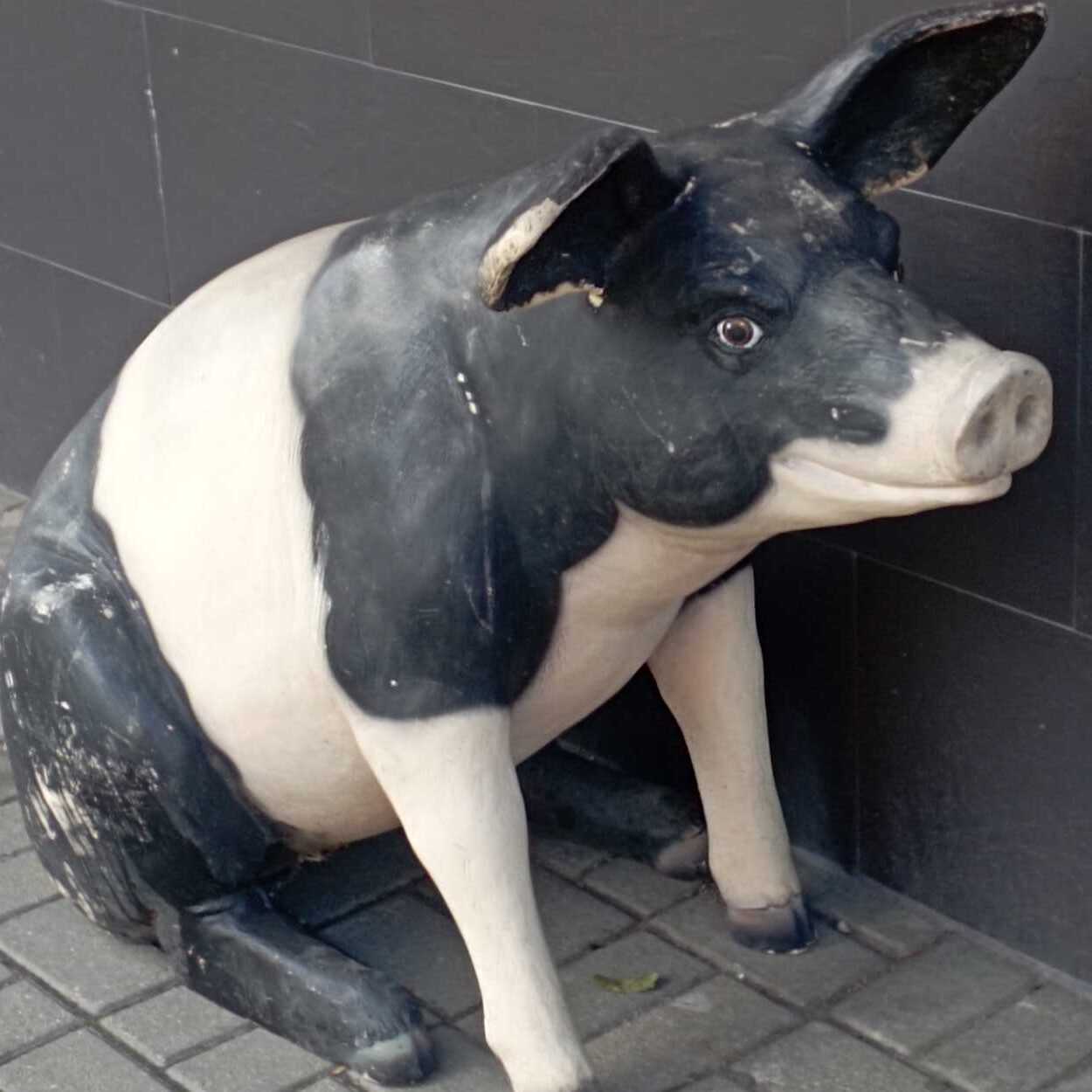 Lonja de Salamanca 9 de Marzo, subida de cereales y ovejas