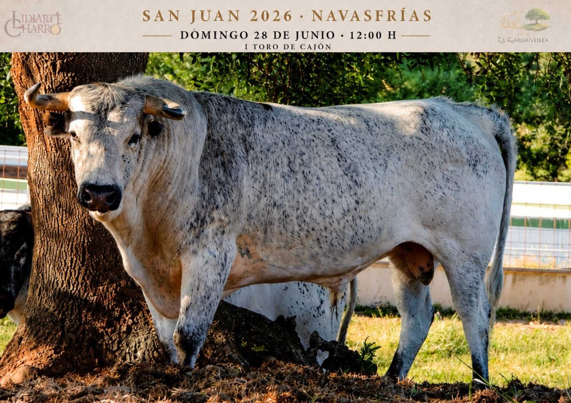 Navasfrías celebrará su I Toro de Cajón el domingo 28 de junio en las fiestas de San Juan