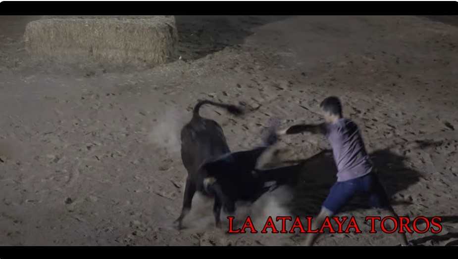 (VIDEO) Cogida y sustos festejo taurino en La Atalaya