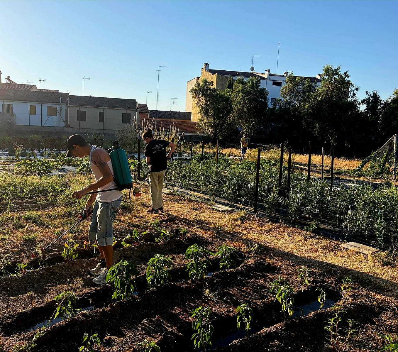 Taller pre-laboral de «Horticultura y Floricultura» en Cáritas Diocesana Ciudad Rodrigo