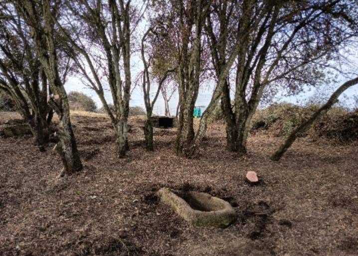 Villar de la Yegua recupera el paraje natural de «Val de la Olla» tras realizar trabajos de limpieza y desbroce